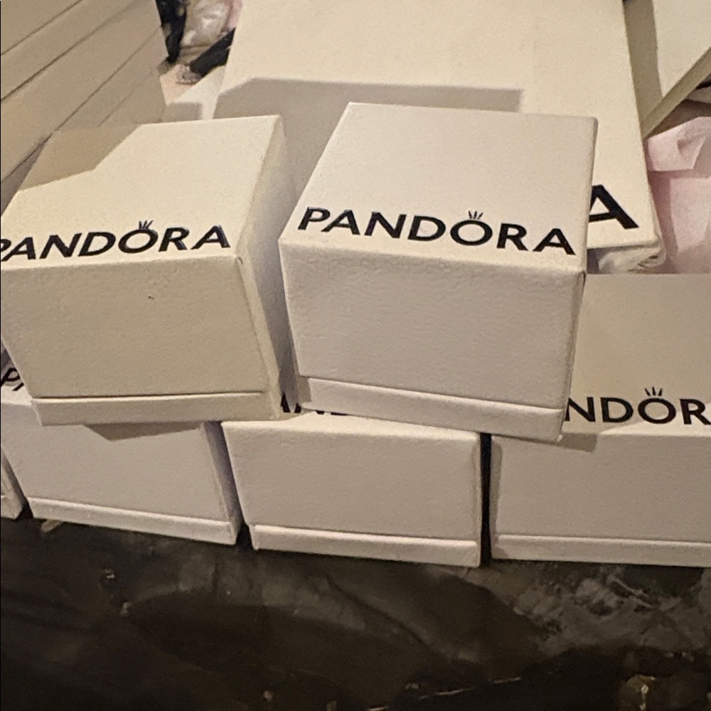 Pandora Bundle - image 2